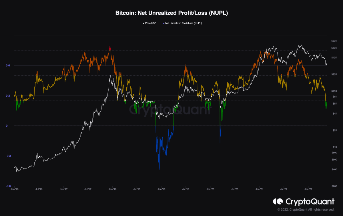 Bitcoin Net Unrealized Profit/Loss (NUPL)